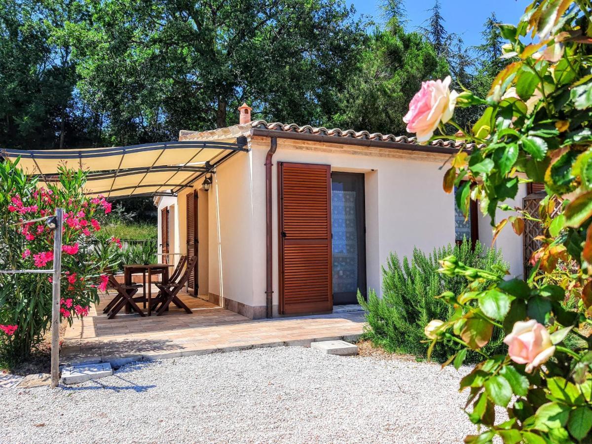 Agriturismo Rosa Antica Monte San Vito Exterior foto