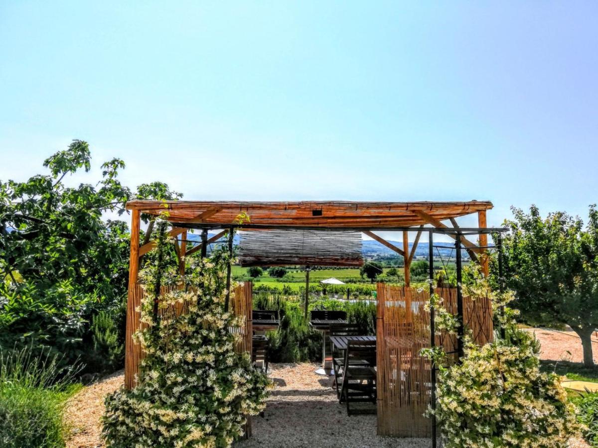 Agriturismo Rosa Antica Monte San Vito Exterior foto
